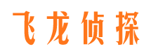 逊克侦探